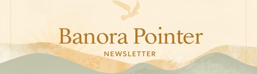 banner image for the Banora Pointer newsletter. Image features hills or waves and a dove