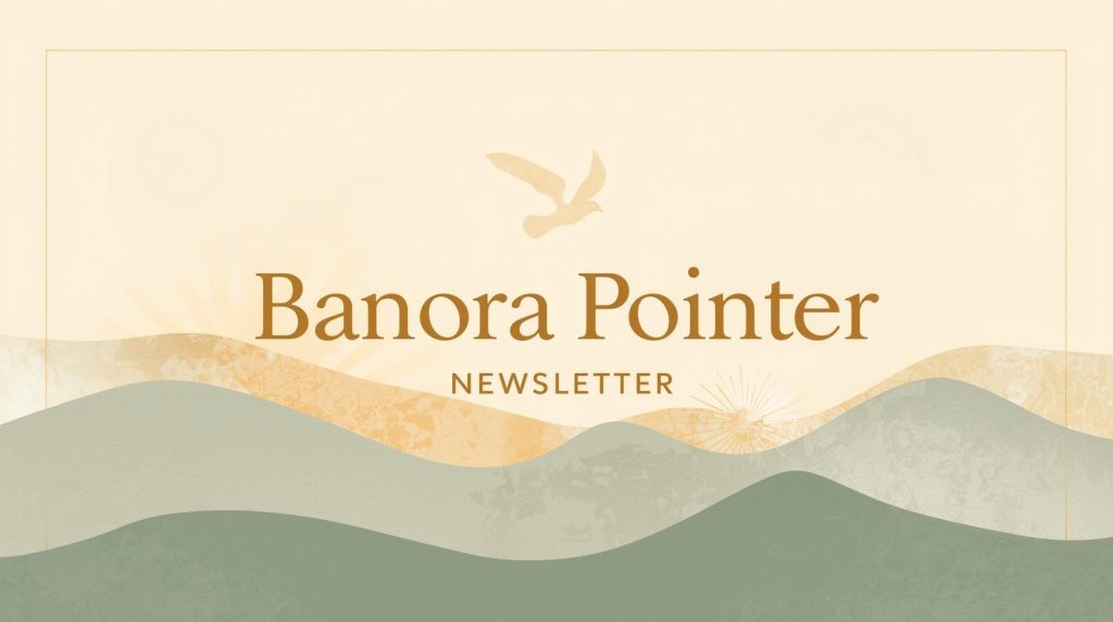 banner image for the Banora Pointer newsletter. Image features hills or waves and a dove